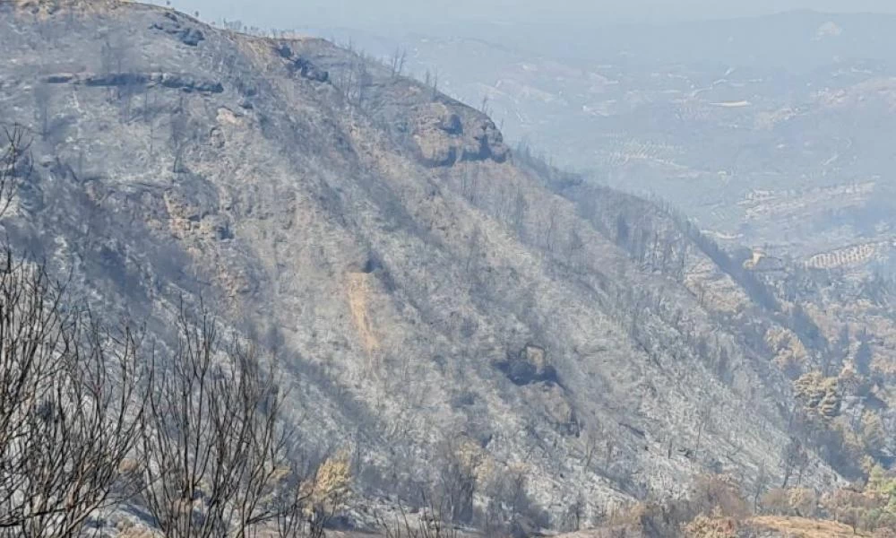 ΓΓΠΠ: Υψηλός κίνδυνος πυρκαγιάς αύριο για 4 Περιφέρειες